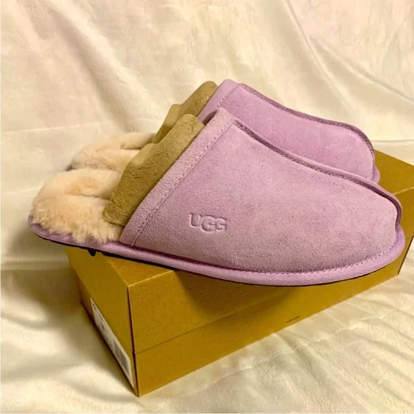 Lavender purple Ugg scuffette. Brand new never worn - Picture 2 of 5